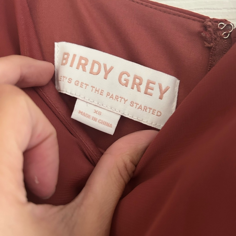 Birdy Grey Gwennie bridesmaid dress in spice XS - Picture 3 of 7